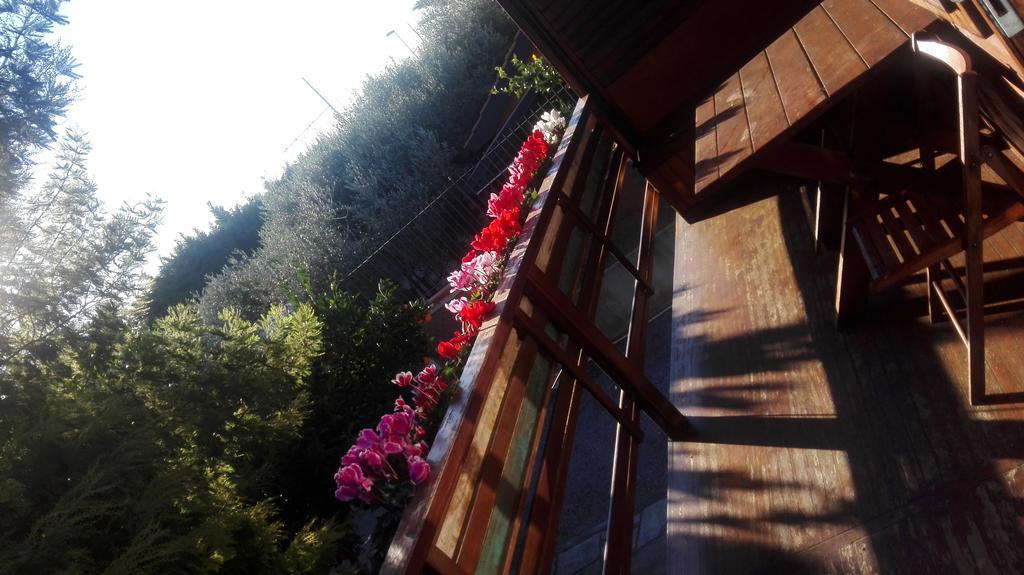 Agriturismo Baita Marina Villa Albenga Exteriör bild